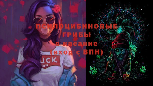 герыч Каменногорск
