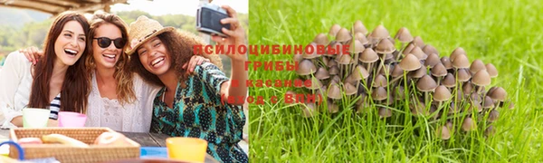 прущая мука Каменск-Шахтинский