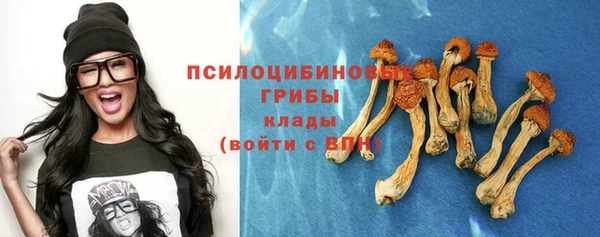 гашиш Каменка