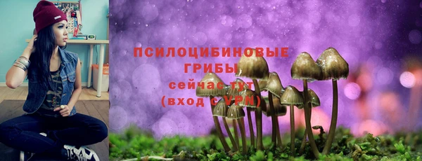 ГАЛЛЮЦИНОГЕННЫЕ ГРИБЫ Инта