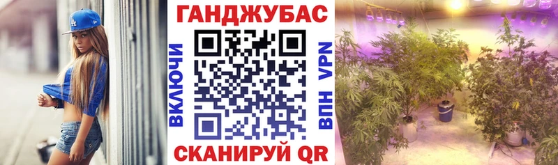 сколько стоит  Ессентуки  мега как зайти  Каннабис планчик 